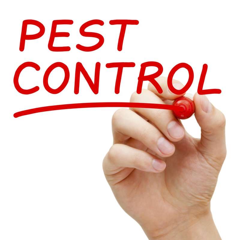 24 Hour Pest Control